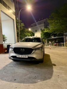Dịch vụ cho thuê xe 7 chỗ -6