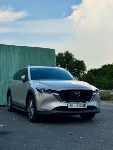 Dịch vụ cho thuê xe 7 chỗ -9
