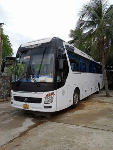 Dịch vụ cho thuê xe 45 chỗ -6